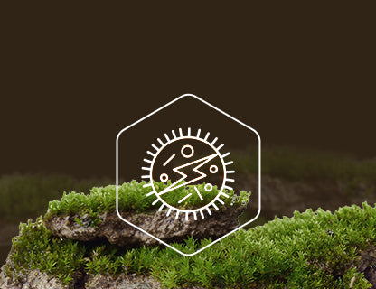 Cloruro de nicotinamida ribósido, la fuente de energía de las células