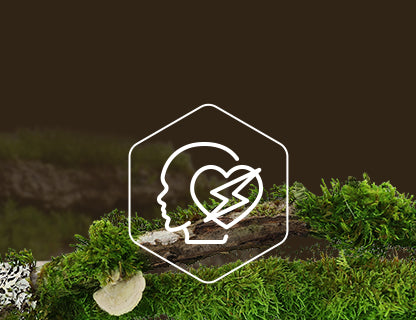 Coenzima Q10, el motor de las células