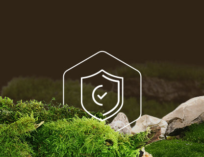 L-glutatión, el escudo protector interno