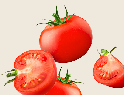 LICOPENO – EXTRACTO DE FRUTA DE LYCOPERSICON ESCULENTUM