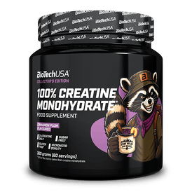 100% Creatine Monohydrate - 300 g Cinnamon plum - BioTechUSA Spain