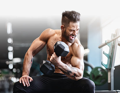 5 tipos de proteínas, una matriz compleja