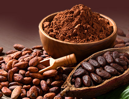Cacao en polvo con bajo contenido de grasa