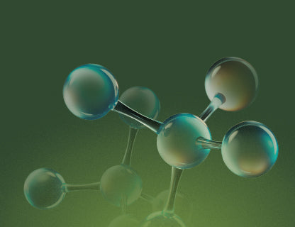 Vitaminas B bioactivas