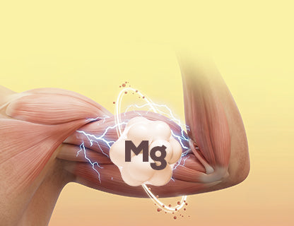 Bisglicinato de magnesio orgánico