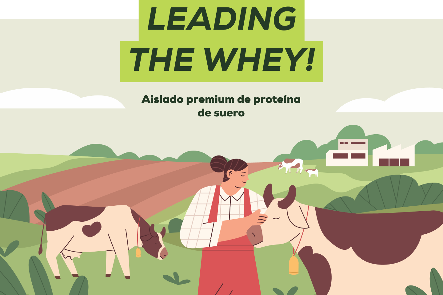 Iso Whey Zero bebida de proteína en polvo - 500 g