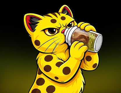 Yuzu Gato