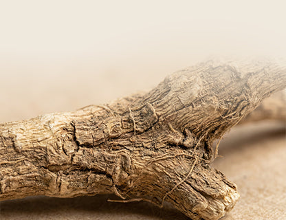 Extracto de espectro completo elaborado exclusivamente a partir de la raíz