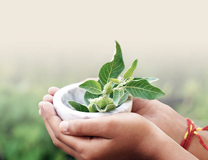 Están abiertos a soluciones tradicionales de origen vegetal