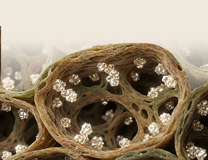 Tecnología moderna de producción sin disolventes 