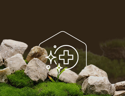 Trans-resveratrol, la fuerza del polifenol