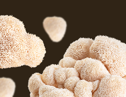 Lion’s Mane, la rareza de la agilidad mental