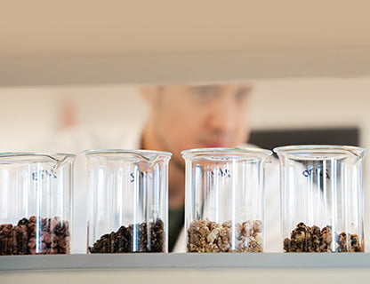 Buscas una composición armoniosa