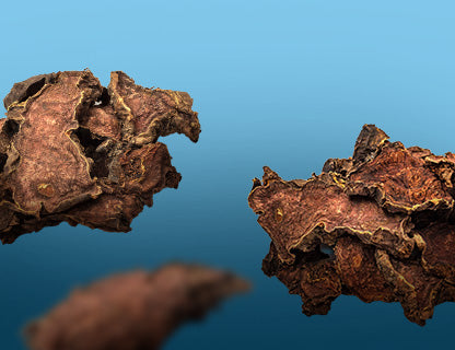 Un favorito de antaño en las culturas del norte