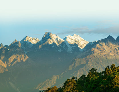 El nacimiento de un tesoro de montaña